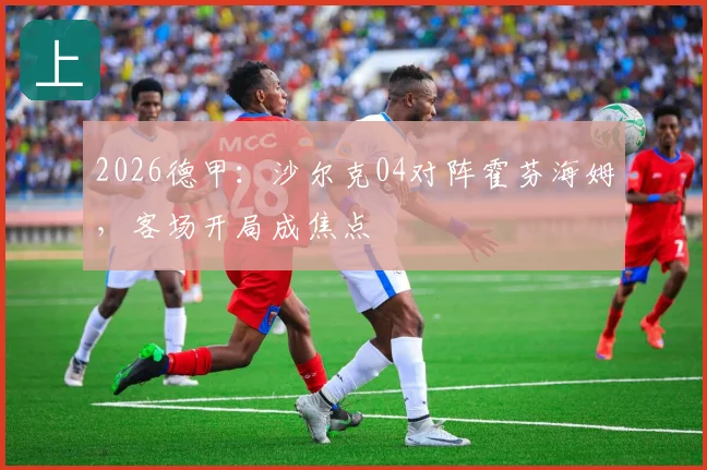 2026德甲：沙尔克04对阵霍芬海姆，客场开局成焦点