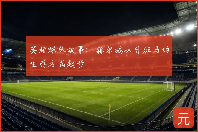 英超球队故事：赫尔城从升班马的生存方式起步
